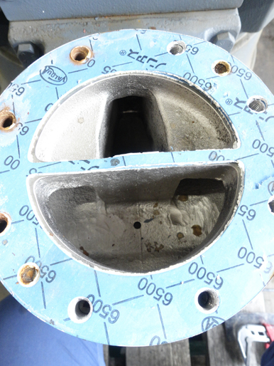 縦型<br>ドライ<br>真空ポンプ