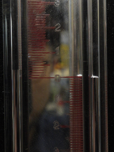 縦型<br>ドライ<br>真空ポンプ